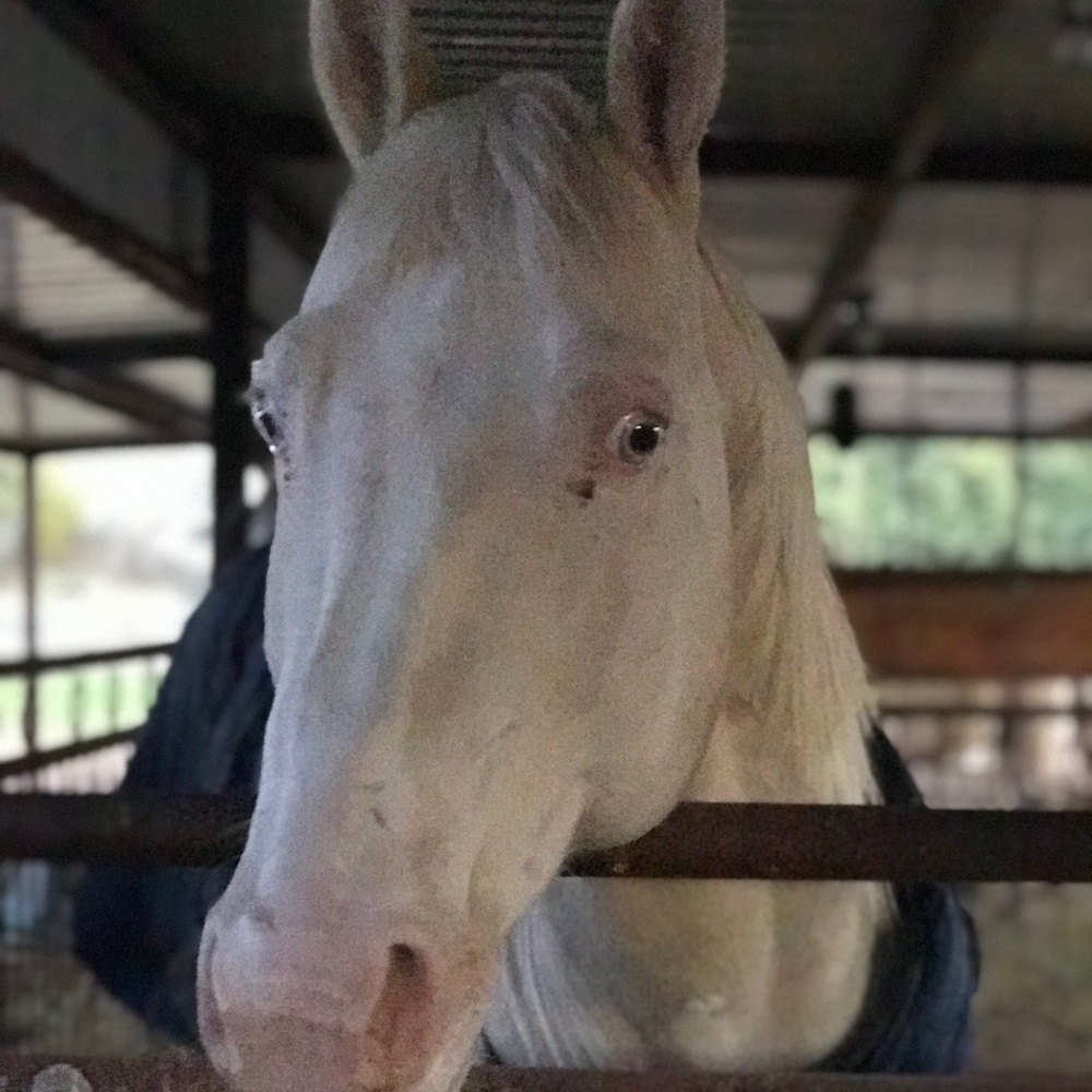 Meet your Posher, Maria